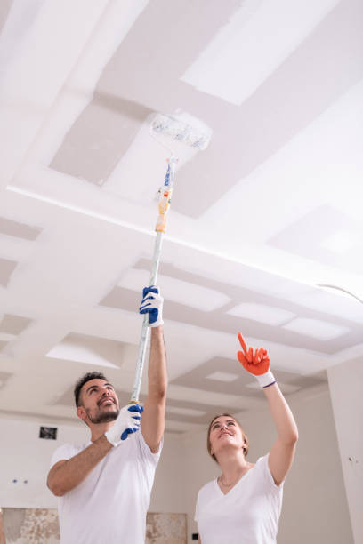 Best Mold Remediation for Rental Properties  in Sweeny, TX