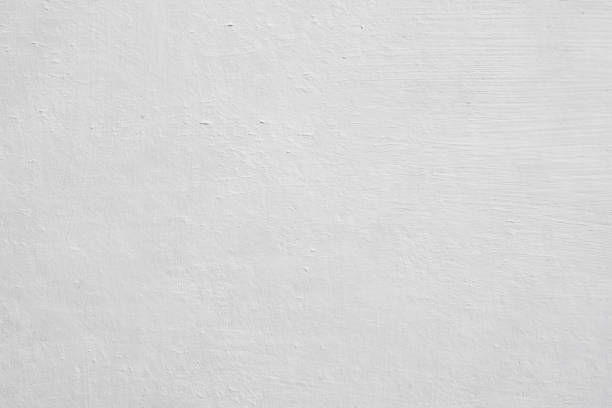 Trusted Sweeny, TX Mold Removal Experts