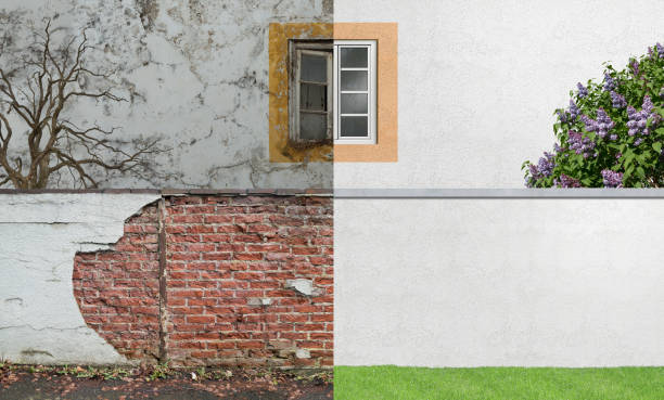 Best Real Estate Mold Inspection  in Sweeny, TX