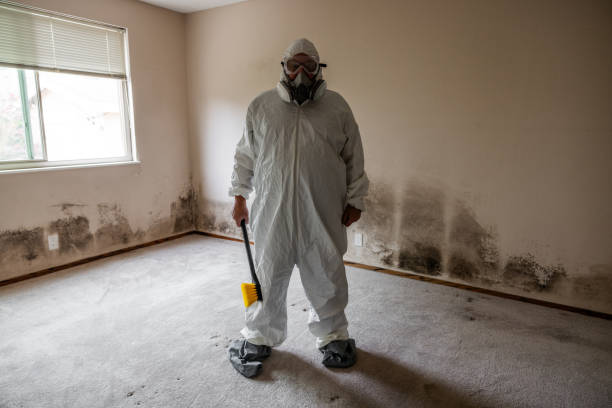 Best Mold Prevention Services  in Sweeny, TX